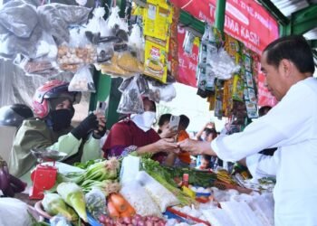 Presiden Jokowi Cek Harga Bahan Pangan di Pasar Tenguyun Kota Tarakan