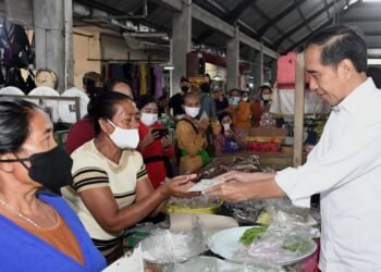 Presiden Jokowi Cek Harga Bahan Pokok di Pasar Baturiti