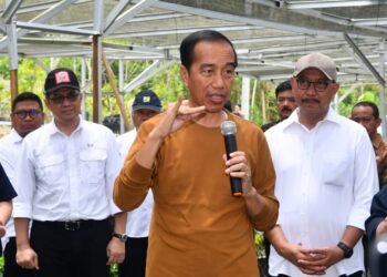 Presiden Jokowi Tunjuk Perry Warjiyo sebagai Calon Gubernur BI