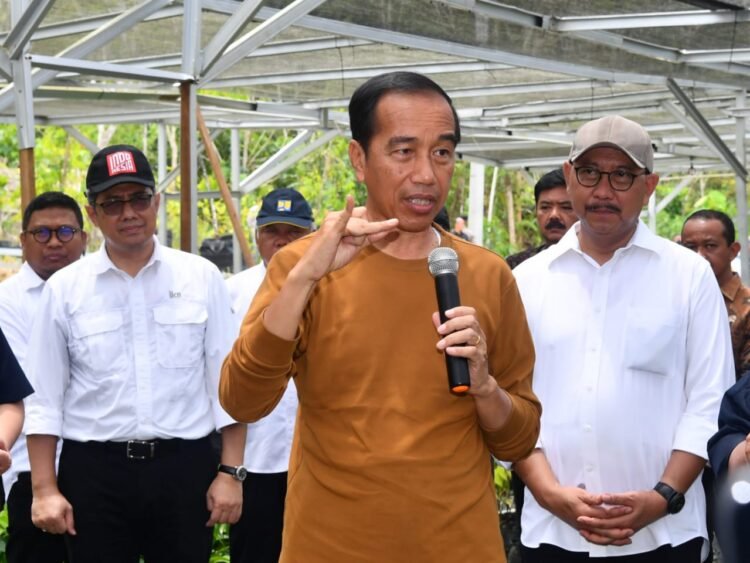 Presiden Jokowi Tunjuk Perry Warjiyo sebagai Calon Gubernur BI