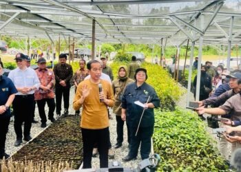 Tinjau Persemaian Mentawir, Presiden: Komitmen Pemerintah Terhadap Lingkungan Dimulai dari Sini