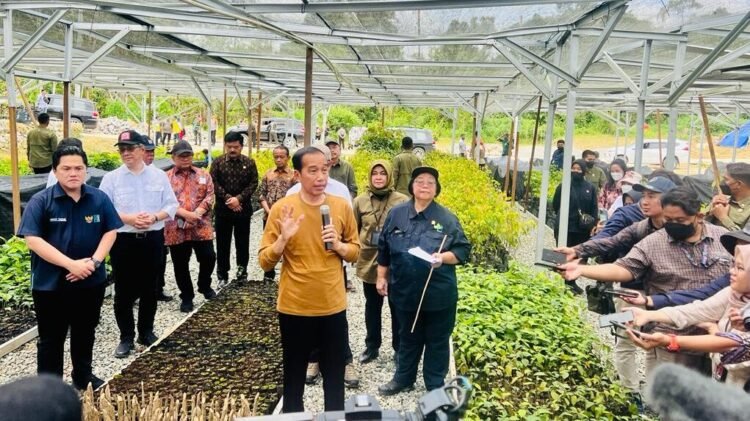 Tinjau Persemaian Mentawir, Presiden: Komitmen Pemerintah Terhadap Lingkungan Dimulai dari Sini