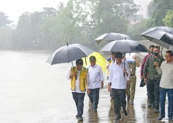 Tinjau Proyek Normalisasi Kali Ciliwung, Presiden: Segera Kita Lanjutkan Kembali