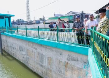Bangun Tandon Hingga Peninggian Turap, Upaya Dinas SDABMBK Kota Tangsel Atasi Banjir