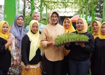 Airin Rachmi Diany: Hidroponik Solusi Bercocok Tanam di Lahan Sempit Perkotaan