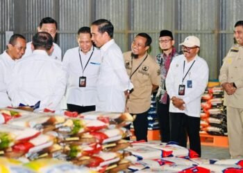 Presiden Jokowi: Pasar Induk Beras Baik untuk Kontrol Stok Beras