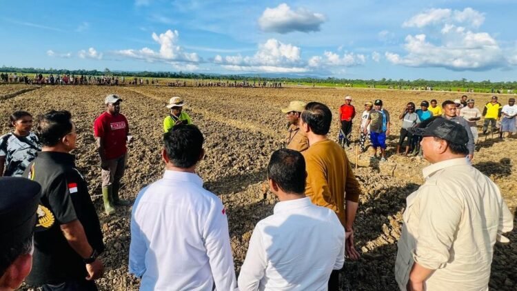 Presiden Jokowi Tinjau Food Estate di Keerom Papua