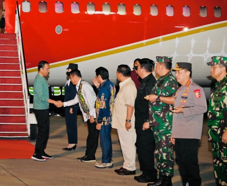 Hari Kedua di Papua, Presiden akan Resmikan PYCH hingga Tinjau Food Estate
