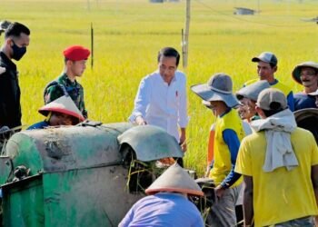 Presiden Tegaskan Upaya Pemerintah Seimbangkan Harga Gabah