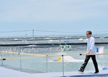 Resmikan Tambak Budidaya Udang di Kebumen, Presiden: Bisa Dicontoh di Daerah Lain