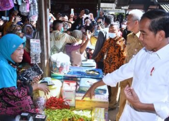 Saat Presiden Beli Cabai di Pasar Mendenrejo