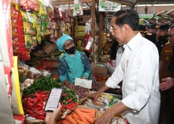 Presiden Cek Harga Kebutuhan Pokok di Pasar Kelapa