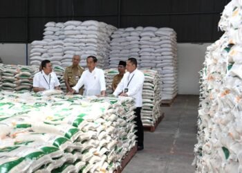 Presiden Jokowi Luncurkan Penyaluran Cadangan Beras Pemerintah untuk Bantuan Pangan Tahun 2023