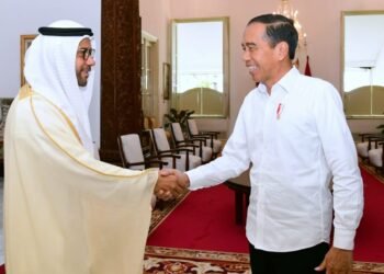 Presiden Jokowi Terima Kunjungan Dubes PEA untuk Indonesia