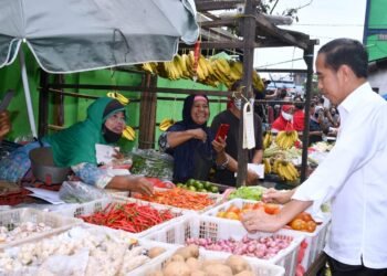 Presiden Jokowi Tinjau Aktivitas Perdagangan di Pasar Minggu