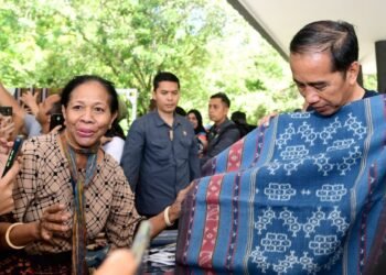 Presiden Tinjau Kesiapan UMKM dan Lokasi Wisata di Labuan Bajo