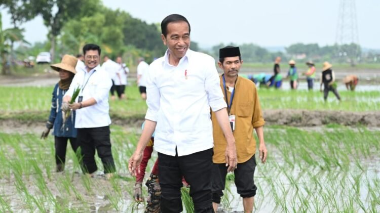 Tanam Padi Bersama Petani di Tuban, Presiden Apresiasi Penggunaan Pupuk Organik