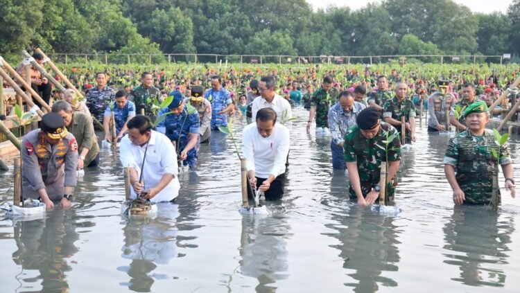 Presiden Apresiasi Penanaman Serentak untuk Rehabilitasi Hutan Mangrove di Tanah Air