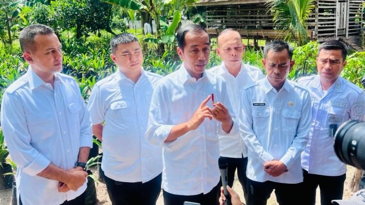 Presiden: Jangan Sampai Jalur Logistik dan Jalan Produksi Rusak Parah