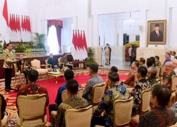 Presiden Jokowi Audiensi dengan PSMTI