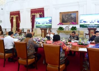 Presiden Jokowi Pimpin Rapat Bahas Optimalisasi Kebijakan Perdagangan Karbon