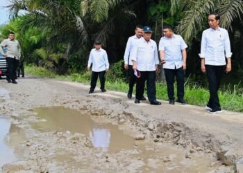 Presiden Jokowi Tinjau Kondisi Jalan di Labuhanbatu Utara