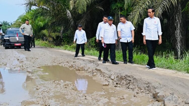 Presiden Jokowi Tinjau Kondisi Jalan di Labuhanbatu Utara