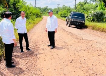 Presiden Jokowi Tinjau Kondisi Jalan di Provinsi Jambi