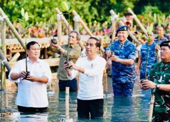 Tanam Mangrove Bersama, Presiden Jokowi Tekankan Pentingnya Jaga Hutan Mangrove