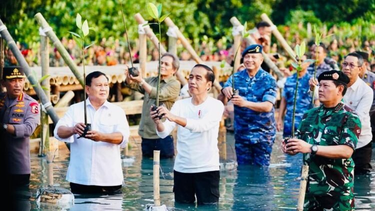Tanam Mangrove Bersama, Presiden Jokowi Tekankan Pentingnya Jaga Hutan Mangrove