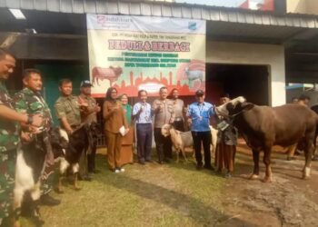 Perayaan Idul Adha 1443 H, Indah Kiat Tangerang Bagikan Puluhan Hewan Kurban