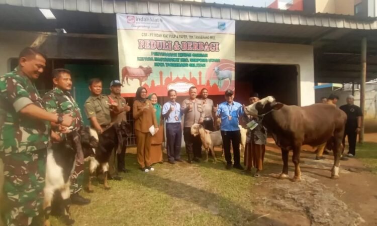Perayaan Idul Adha 1443 H, Indah Kiat Tangerang Bagikan Puluhan Hewan Kurban