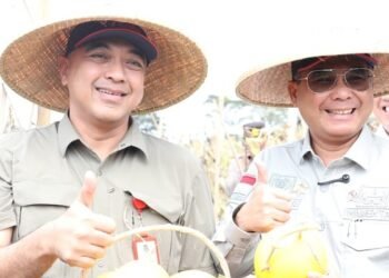 Wakil Menteri Pertanian Kunjungi Puskagro