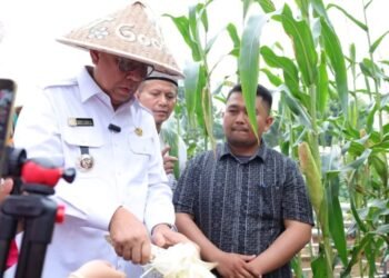 Benyamin Ajak Masyarakat Manfaatkan Lahan secara Produktif