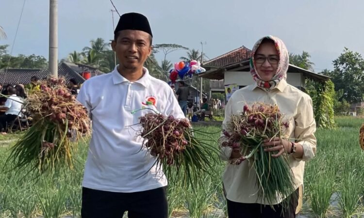 Di Pandeglang, Airin Rachmi Diany Panen Bawang Merah Bersama Petani