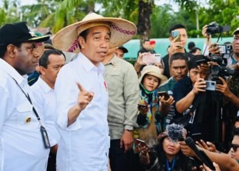 Indonesia Terbuka untuk Kerja Sama Hilirisasi dengan PNG