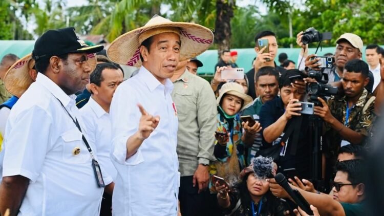 Indonesia Terbuka untuk Kerja Sama Hilirisasi dengan PNG