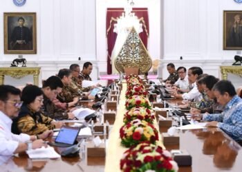 Pemerintah Dorong Penyelesaian Isu-Isu Strategis agar IEU-CEPA Segera Selesai