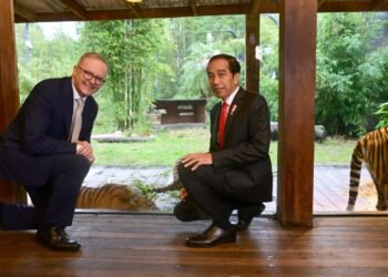 Suasana Hangat Selimuti Kunjungan Presiden Jokowi dan PM Albanese ke Sumatran Village