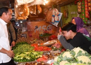Tinjau Pasar Tanjungsari, Presiden Jokowi: Harga Stabil, Suplai Mencukupi