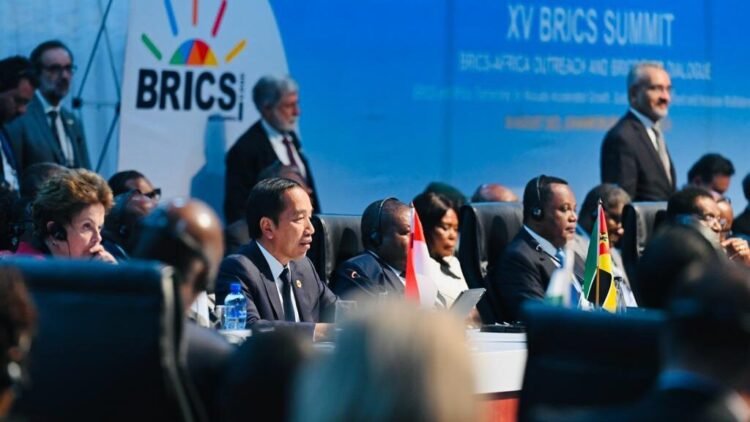 Hadiri KTT BRICS, Presiden Tegaskan Hak Negara Berkembang Perlu Diperjuangkan Bersama