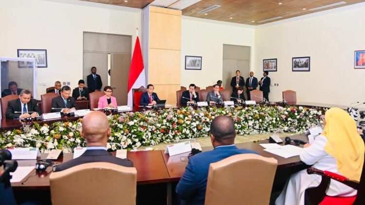 Kunjungan Perdana ke Tanzania, Presiden Jokowi Ajak Presiden Samia Perkuat Solidaritas