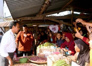 Presiden Tinjau Harga Sejumlah Komoditas Pangan di Pasar Grogolan Baru Pekalongan
