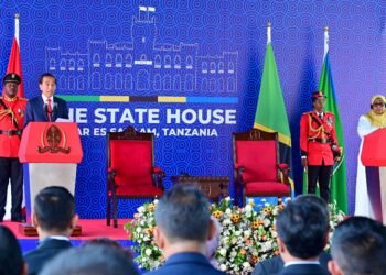 Presiden Jokowi Sampaikan Komitmen Indonesia Wujudkan Kolaborasi Konkret dengan Afrika