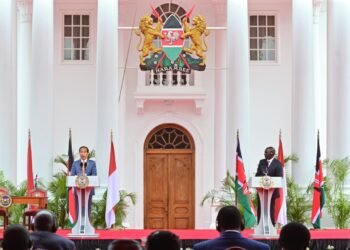 Presiden Jokowi Tekankan Penguatan Kemitraan Antarnegara Berkembang