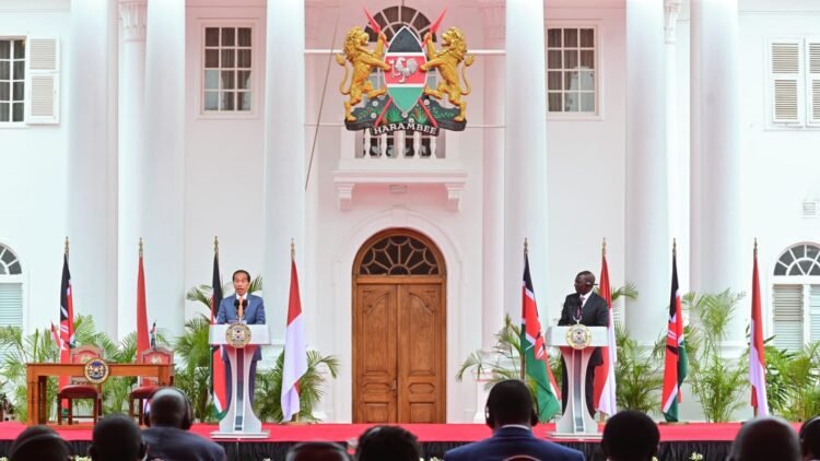 Presiden Jokowi Tekankan Penguatan Kemitraan Antarnegara Berkembang