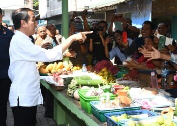 Presiden Jokowi Tinjau Harga Kebutuhan Pokok di Pasar Brahrang