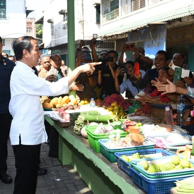 Presiden Jokowi Tinjau Harga Kebutuhan Pokok di Pasar Brahrang