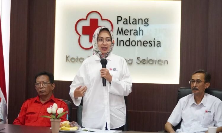 Sambut HUT ke-78 PMI, Airin Rachmi Diany Serukan Pentingnya Mengurangi Dampak Perubahan Iklim