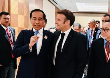 Bertemu Presiden Macron, Presiden Jokowi Apresiasi Investasi Prancis Pada Sektor Strategis di Indonesia